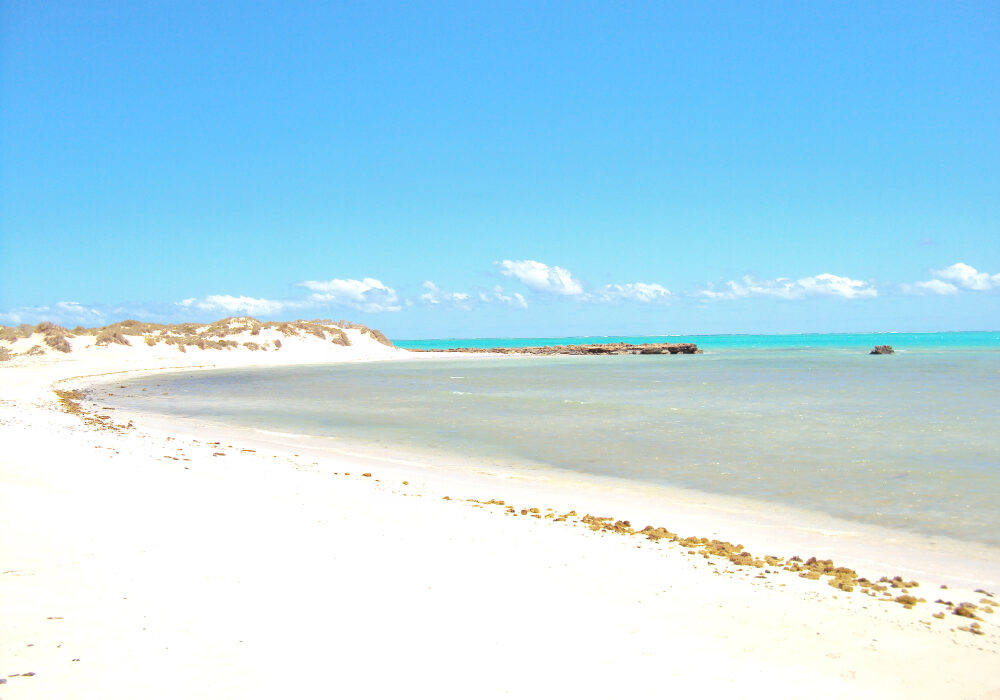 T-bone,Bay,-,Ningaloo,Marine,Park