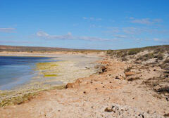 Lefroy Bay