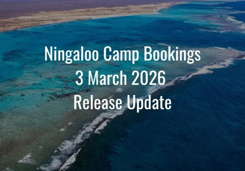 Ningaloo Camp Bookings 3 March 2026 Release Update