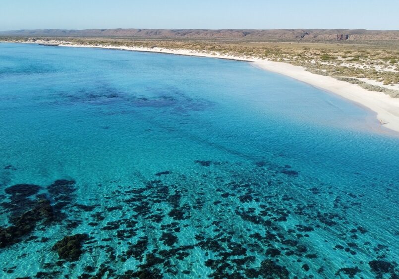 The,Ningaloo,Reef,And,Beach,Western,Australia