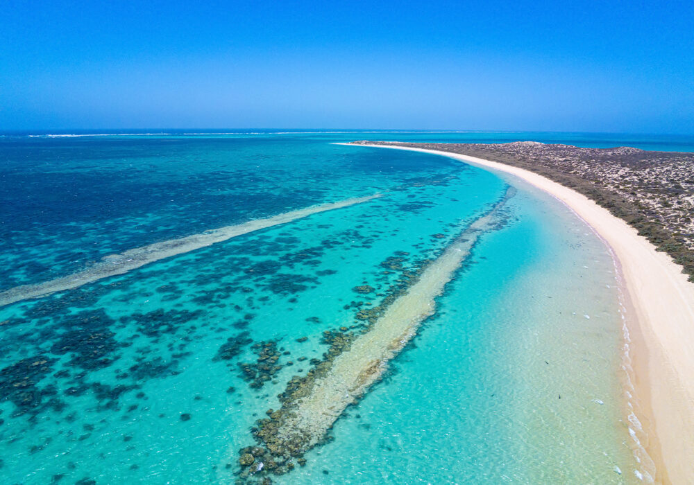 Ningaloo,Reef,Close,To,Coral,Bay,Aerial,Image,Of,Reef