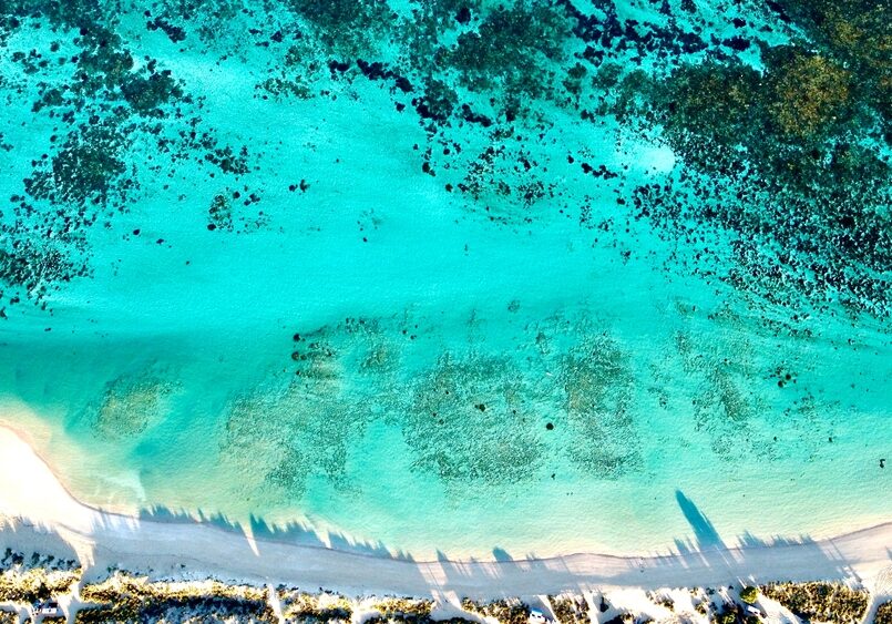 South,Lefroy,Bay,Ningaloo,Reef