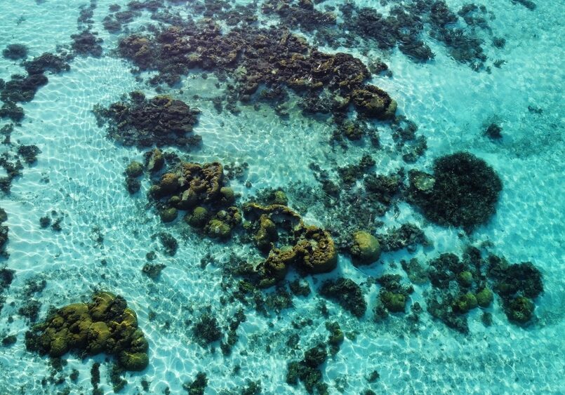 Coral,Reef,Aerial,Photo,On,The,Ningaloo,Reef,In,Australia