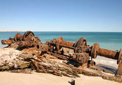 The Whaling Station